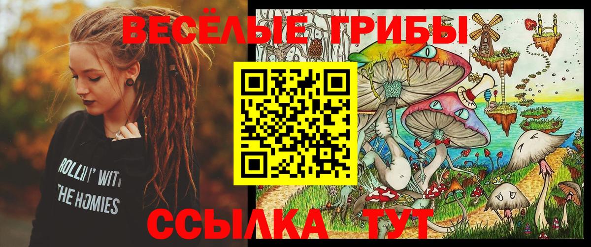 Малоярославец  Галлюциногенные грибы Psilocybine cubensis  Вход с VPN 