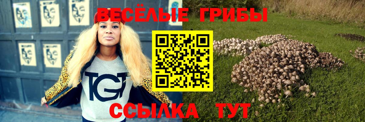 Галлюциногенные грибы ЛСД Малоярославец